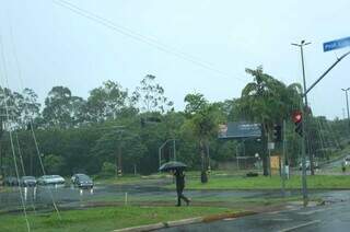 Chuva rápida acompanhada de ventos fortes derruba duas árvores em Campo Grande Chuva rápida acompanhada de ventos fortes derruba duas árvores em Campo Grande