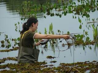 Novo indicador federal de educação ambiental já mapeia ações em MS Novo indicador federal de educação ambiental já mapeia ações em MS