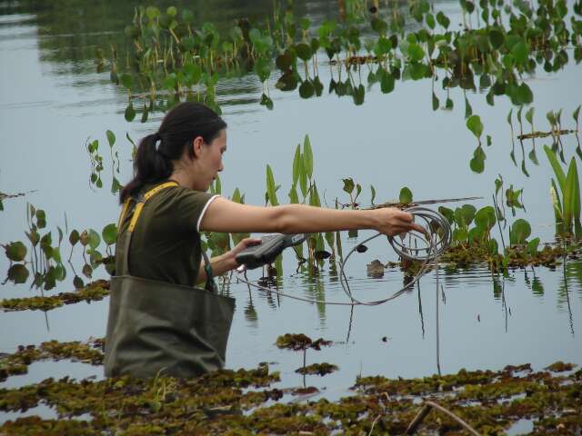Novo indicador federal de educa&ccedil;&atilde;o ambiental j&aacute; mapeia a&ccedil;&otilde;es em MS
