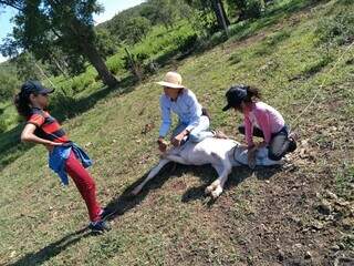 “Foi uma fatalidade”, afirma irmão sobre morte de motociclista na BR-262 “Foi uma fatalidade”, afirma irmão sobre morte de motociclista na BR-262