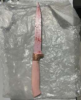 Mulher &eacute; morta pelo marido em Ribas e MS registra o 39&ordm; feminic&iacute;dio de 2025