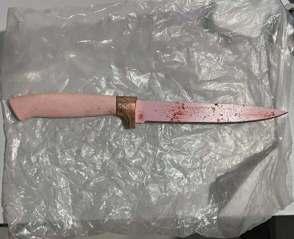 Mulher &eacute; morta pelo marido em Ribas e MS registra o 39&ordm; feminic&iacute;dio de 2025