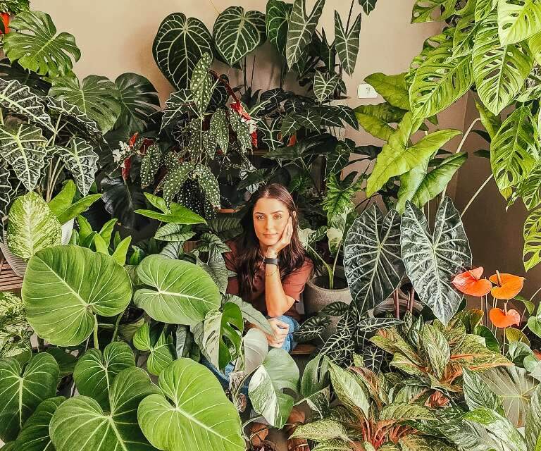 Adrielle salva plantas que todo mundo já tinha desistido de cuidar