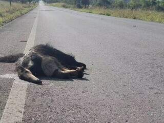 No boom de obras das construtoras também sobra dívida No boom de obras das construtoras também sobra dívida