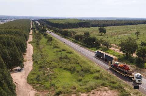 TJ nega recurso de empresa exclu&iacute;da de disputa bilion&aacute;ria pela Rota da Celulose