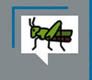 Os gafanhotos foram a 1º marca de desequilíbrio ambiental em C.Grande Os gafanhotos foram a 1º marca de desequilíbrio ambiental em C.Grande