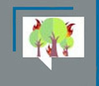 Os gafanhotos foram a 1º marca de desequilíbrio ambiental em C.Grande Os gafanhotos foram a 1º marca de desequilíbrio ambiental em C.Grande