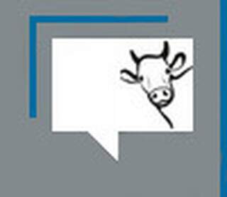 Os gafanhotos foram a 1º marca de desequilíbrio ambiental em C.Grande Os gafanhotos foram a 1º marca de desequilíbrio ambiental em C.Grande