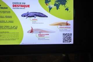 Crian&ccedil;a pede Bioparque de Natal e animal &eacute; batizado com seu nome