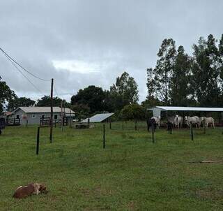 Chuva chega com for&ccedil;a no interior e acumulado atinge 84,8 mil&iacute;metros