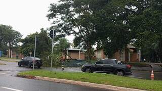 Chuva derruba &aacute;rvore, interdita trecho da Av. F&aacute;bio Zahran e quadra fica sem luz