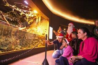 Crian&ccedil;a pede Bioparque de Natal e animal &eacute; batizado com seu nome