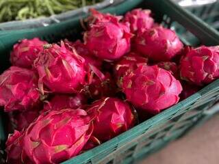 Maracujá e cenoura sobem, enquanto lichia e pitaya têm bons preços na Ceasa Maracujá e cenoura sobem, enquanto lichia e pitaya têm bons preços na Ceasa