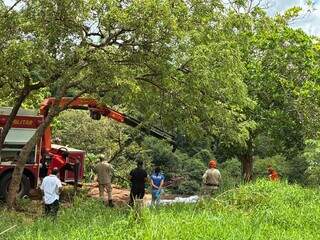 Motorista de aplicativo morre após cair de precipício no Inferninho Motorista de aplicativo morre após cair de precipício no Inferninho