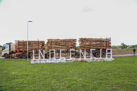 Arauco repassar&aacute; R$ 1,7 milh&atilde;o por impactos em investimento de R$ 344 milh&otilde;es