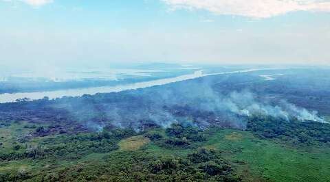 Pantanal respira, com 92% de queda nas &aacute;reas queimadas em um ano