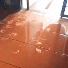 Casa &eacute; tomada por lama ap&oacute;s chuvas no bairro J&oacute;quei Club, em Campo Grande