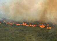 Entidades reagem a risco de corte de 65% no or&ccedil;amento para combate a queimadas