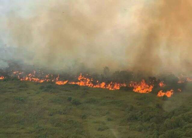 Entidades reagem a risco de corte de 65% no or&ccedil;amento para combate a queimadas