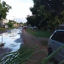 Moradora improvisa sinaliza&ccedil;&atilde;o ap&oacute;s carro atolar em buraco no Los Angeles