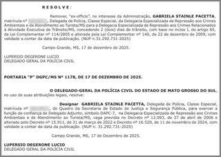 Após 6 meses, delegado sai da Garras e assume crimes ambientais Após 6 meses, delegado sai da Garras e assume crimes ambientais