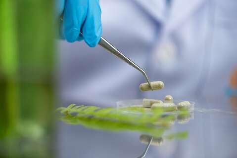 Ap&oacute;s 10 anos, vigil&acirc;ncia sanit&aacute;ria moderniza regras para fitoter&aacute;picos