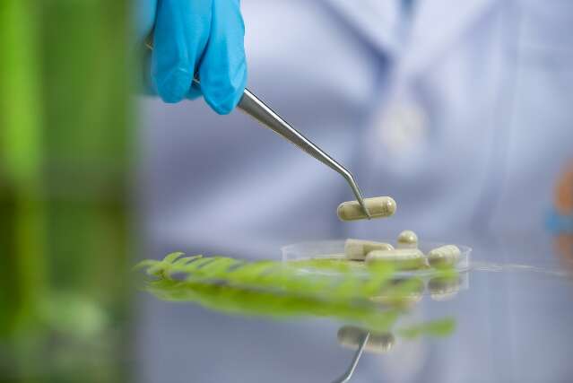 Ap&oacute;s 10 anos, vigil&acirc;ncia sanit&aacute;ria moderniza regras para fitoter&aacute;picos