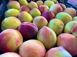 Ceasa projeta aumento de 25% nas vendas de frutas no fim de ano Ceasa projeta aumento de 25% nas vendas de frutas no fim de ano