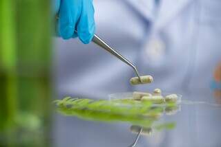 Ap&oacute;s 10 anos, vigil&acirc;ncia sanit&aacute;ria moderniza regras para fitoter&aacute;picos