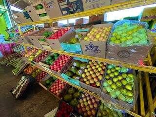 Ceasa projeta aumento de 25% nas vendas de frutas no fim de ano Ceasa projeta aumento de 25% nas vendas de frutas no fim de ano