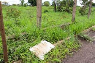PM usa spray de pimenta para impedir invas&atilde;o de &aacute;rea do Jockey Club