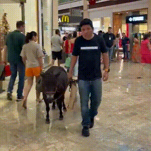 P&ocirc;neis no shopping? Criador levou Vivara e Rolex para passear