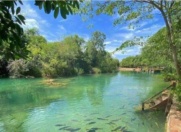 MP investiga dano ambiental que pode comprometer cursos d&rsquo;&aacute;gua em Bonito