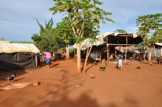 Veneno adoeceu aldeia, contaminou o Pantanal e virou neg&oacute;cio para o PCC em 2025