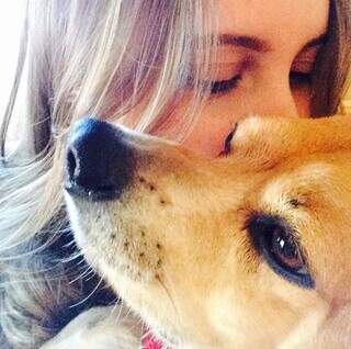 O dia mais dif&iacute;cil para quem ama animais: quando a morte &eacute; inevit&aacute;vel