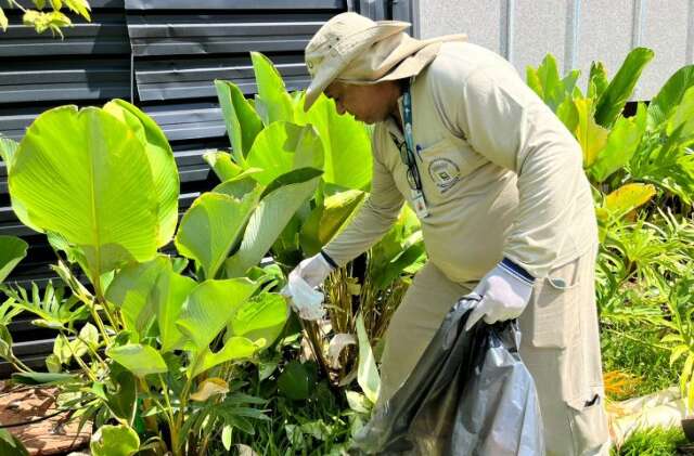 MS confirma duas mortes por dengue e mais uma causada por chikungunya