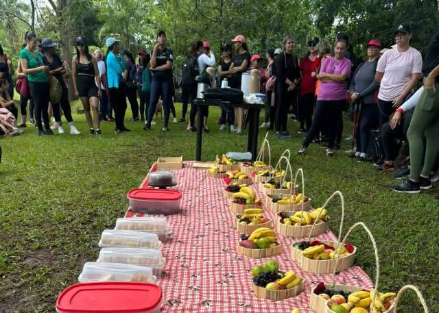 Caf&eacute; da manh&atilde; na natureza re&uacute;ne mais de 100 mulheres para pausa