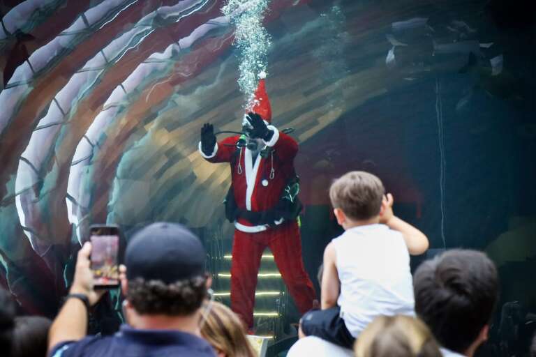 Papai Noel dentro de aquário fez a alegria de visitantes do Bioparque