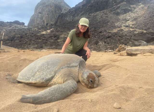 Ap&oacute;s 44 anos cuidando de tartarugas, pesquisadora de MS se despede do ICMBio