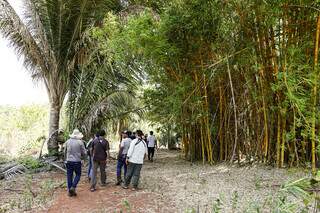 Aldeia investe em turismo com hospedagem e roteiros conduzidos por moradores