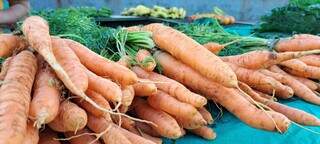 Amanh&atilde; tem feira de org&acirc;nicos para garantir ceia mais saud&aacute;vel