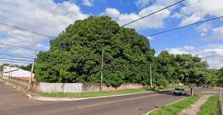 Mangueiral que vai virar condom&iacute;nio guarda lenda de um tesouro perdido