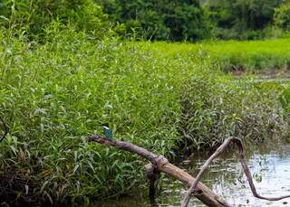 Dica de ouro: 6 cidades com destinos incr&iacute;veis para relaxar na natureza