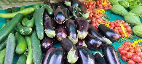 Amanh&atilde; tem feira de org&acirc;nicos para garantir ceia mais saud&aacute;vel