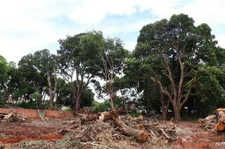 Mangueiral que vai virar condom&iacute;nio guarda lenda de um tesouro perdido