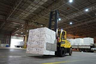 Celulose liderou e sustentou as exporta&ccedil;&otilde;es de MS em ano com susto do tarifa&ccedil;o