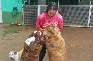 Brincadeiras e alimenta&ccedil;&atilde;o antecipada s&atilde;o estrat&eacute;gias para pets em dias de fogos