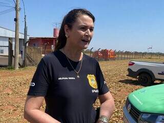 Com 4 acidentes e 7 mortes, 2025 é um dos anos mais letais da aviação em MS Com 4 acidentes e 7 mortes, 2025 é um dos anos mais letais da aviação em MS