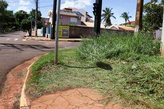 Em &ldquo;jogo de empurra&rdquo; sobre poda, mato alto domina cal&ccedil;adas da Orla Morena 