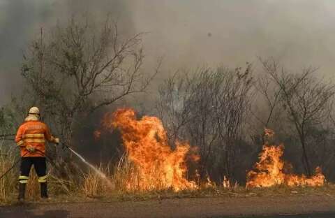 Sob risco de crise clim&aacute;tica, MPF vai acompanhar a&ccedil;&otilde;es de prote&ccedil;&atilde;o ao Pantanal
